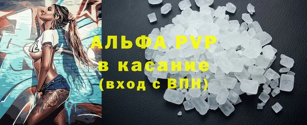 крисы Алексин